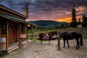 A place to let the cowboy in you come out