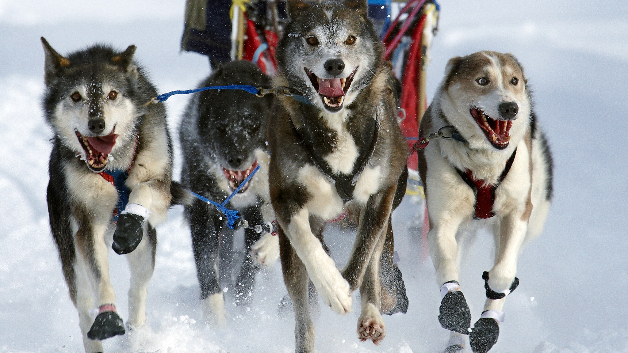 Media Visits to the Cariboo Chilcotin Coast